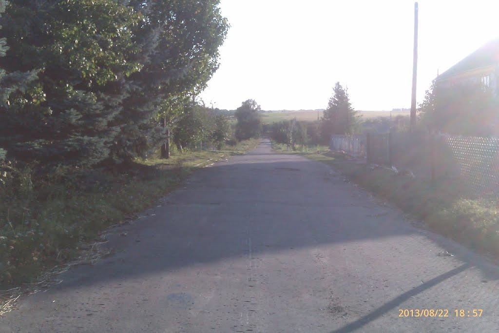 Сатиїв з panoramio.com - Сатиїв