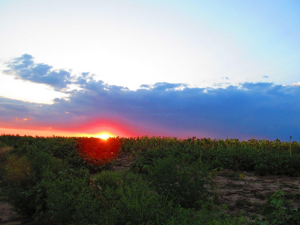 Торське з panoramio.com - Торське