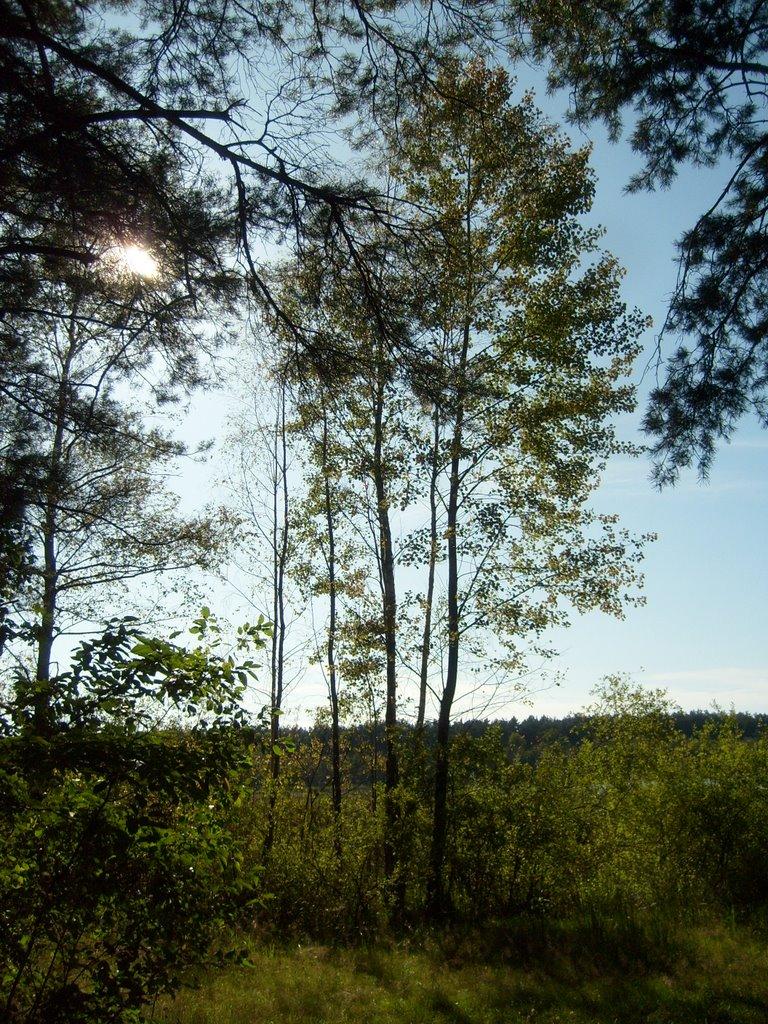Забужжя з panoramio.com - Забужье
