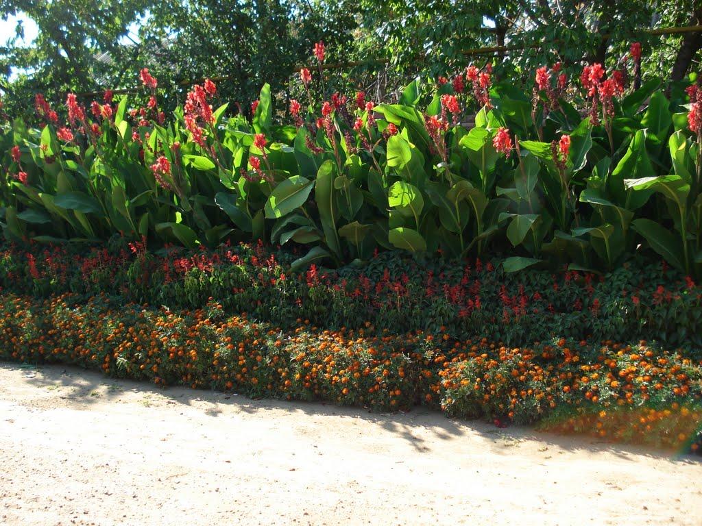 Біляївка з panoramio.com - Беляевка