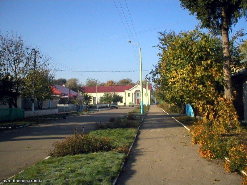 Демидівка з panoramio.com