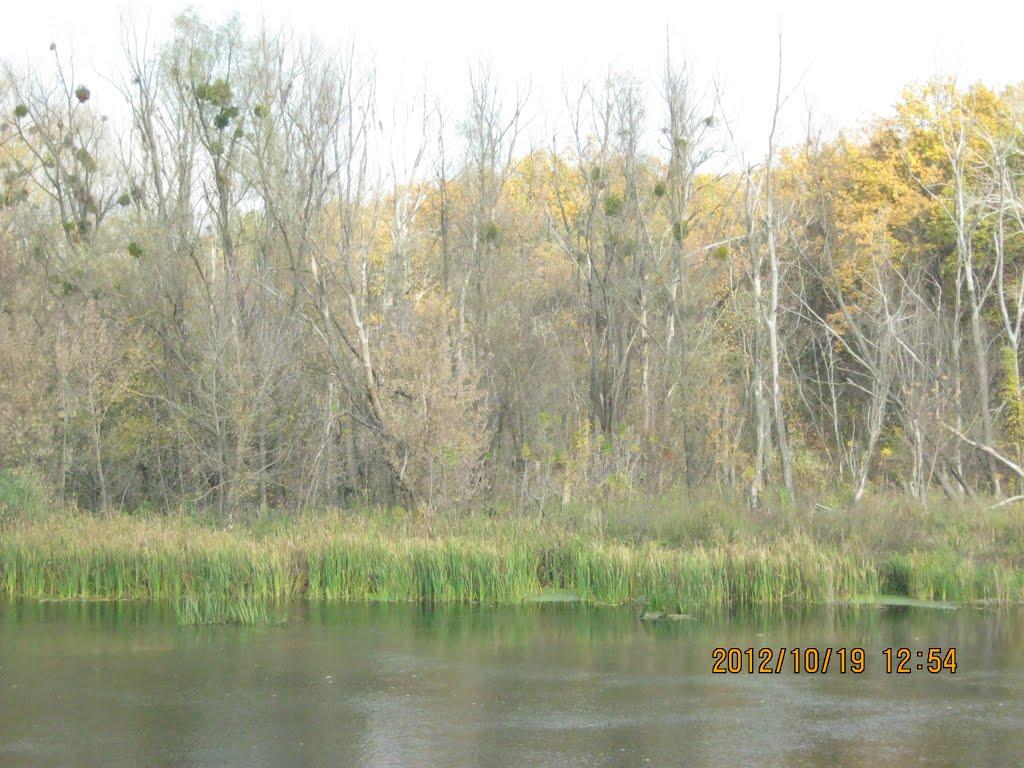 Богородичне з panoramio.com - Богородичное