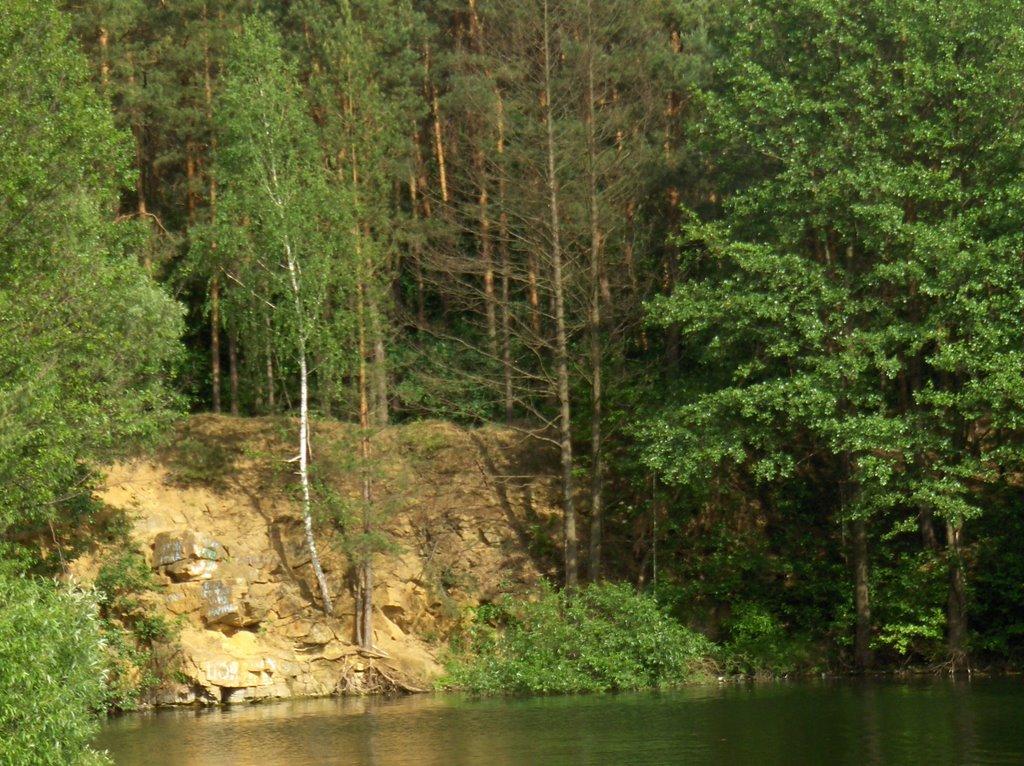 Лобачів з panoramio.com - Лобачів