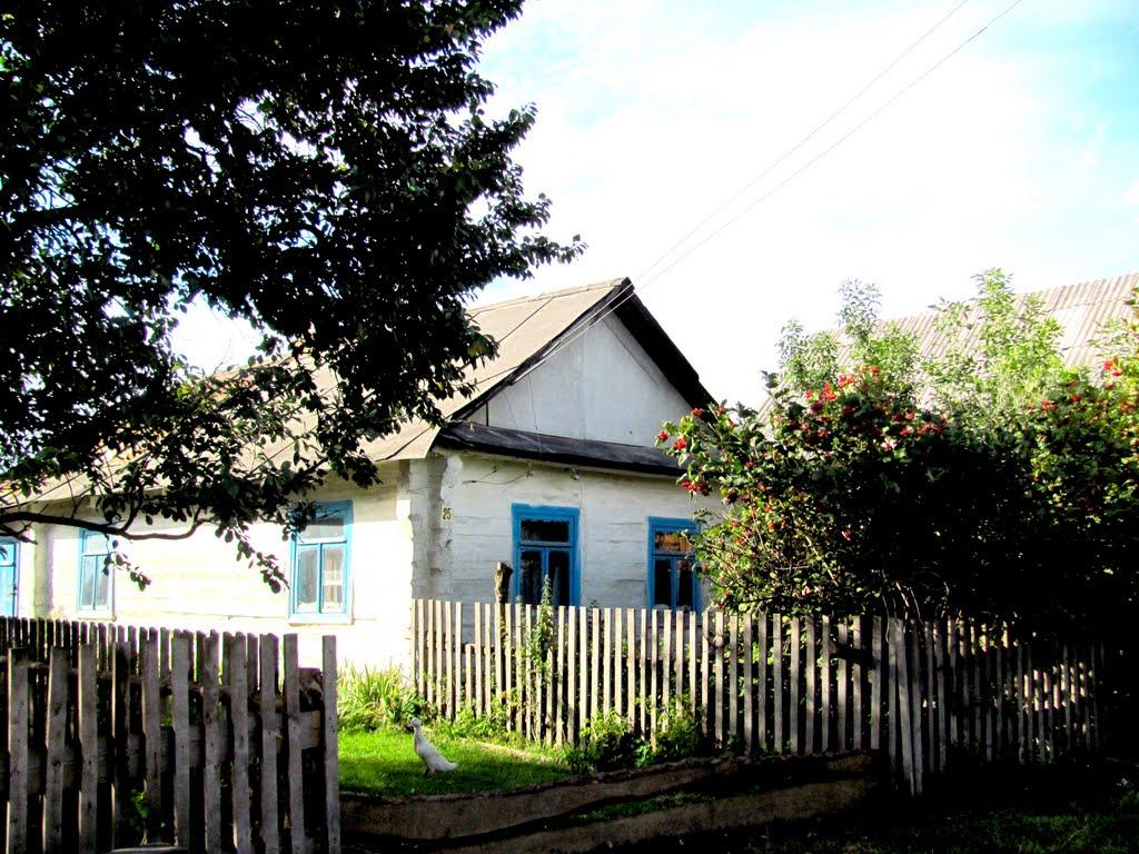 Кузнецовськ з panoramio.com - Varash