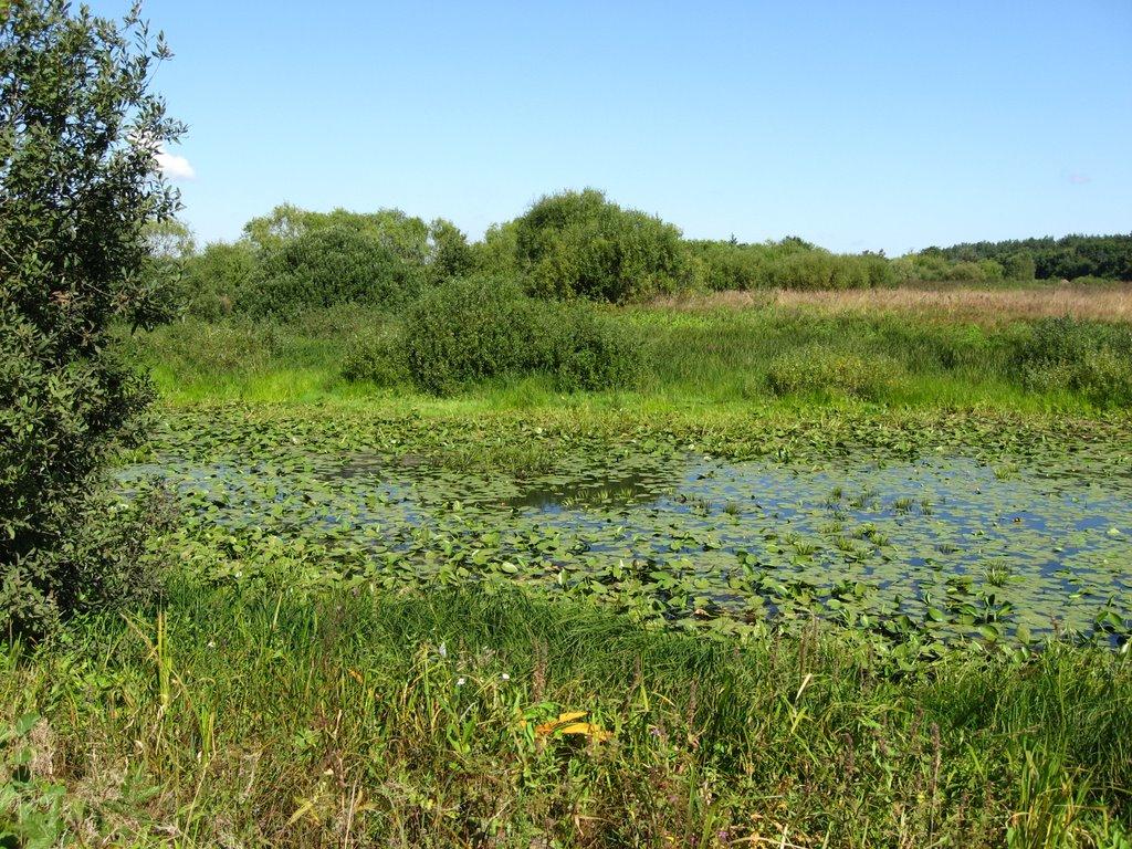 Очкине з panoramio.com - Очкине