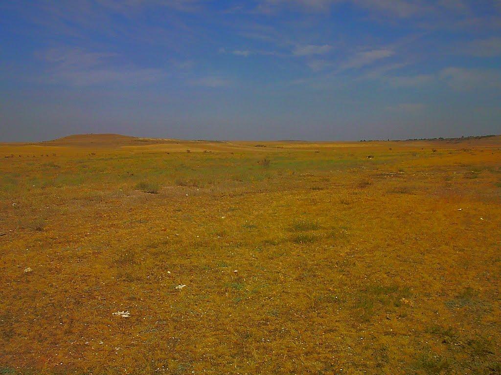 Кочергіне з panoramio.com - Кочергино