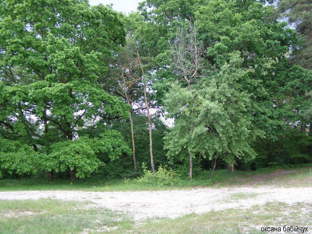 Тур з panoramio.com - Тур