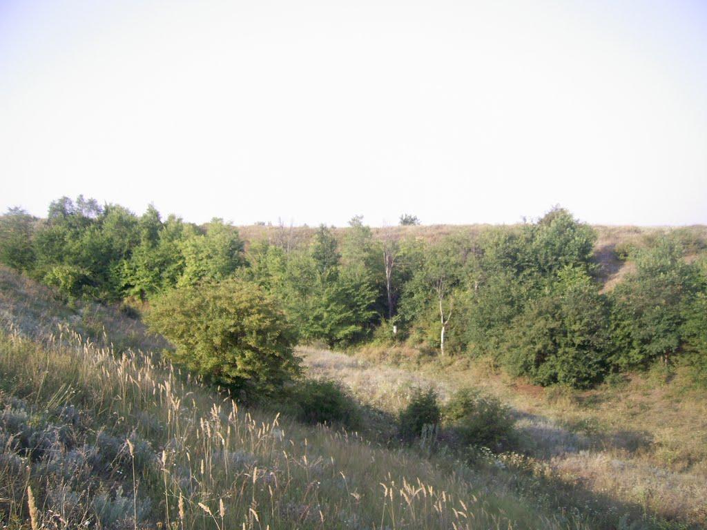 Дружківка з panoramio.com - Дружковка