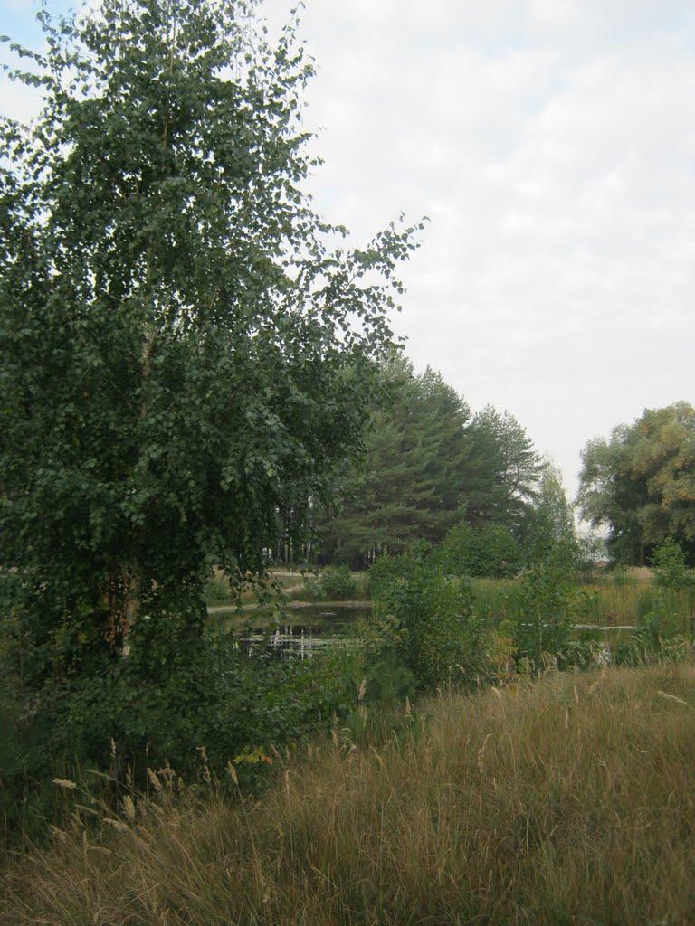 Південне з panoramio.com - Південне