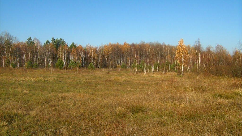 Млинок з panoramio.com - Млинок