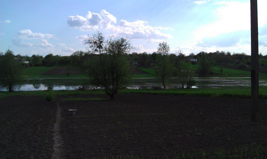 Рижанівка з panoramio.com - Рижанівка