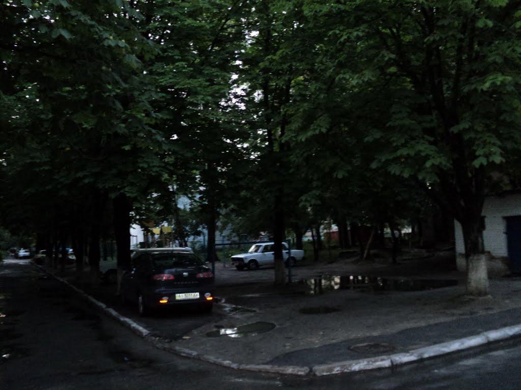 Вишневе з panoramio.com - Вишневе