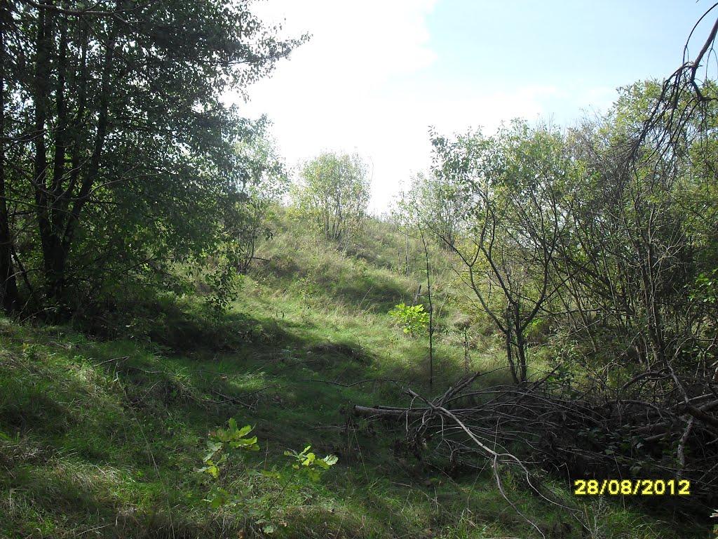 Куданівка з panoramio.com - Куданівка