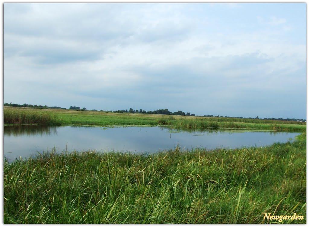 Заріччя з panoramio.com - Заріччя