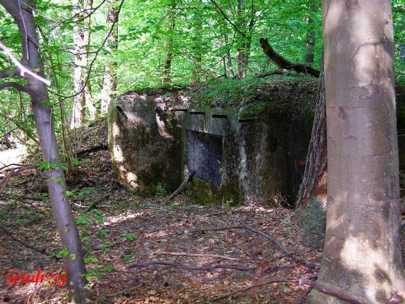 Великі Макари з panoramio.com - Великі Макари