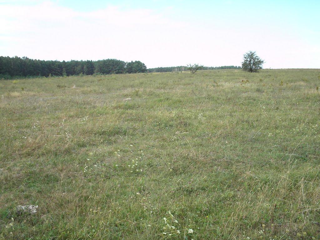 Михайло-Коцюбинське з panoramio.com - Михайло-Коцюбинське