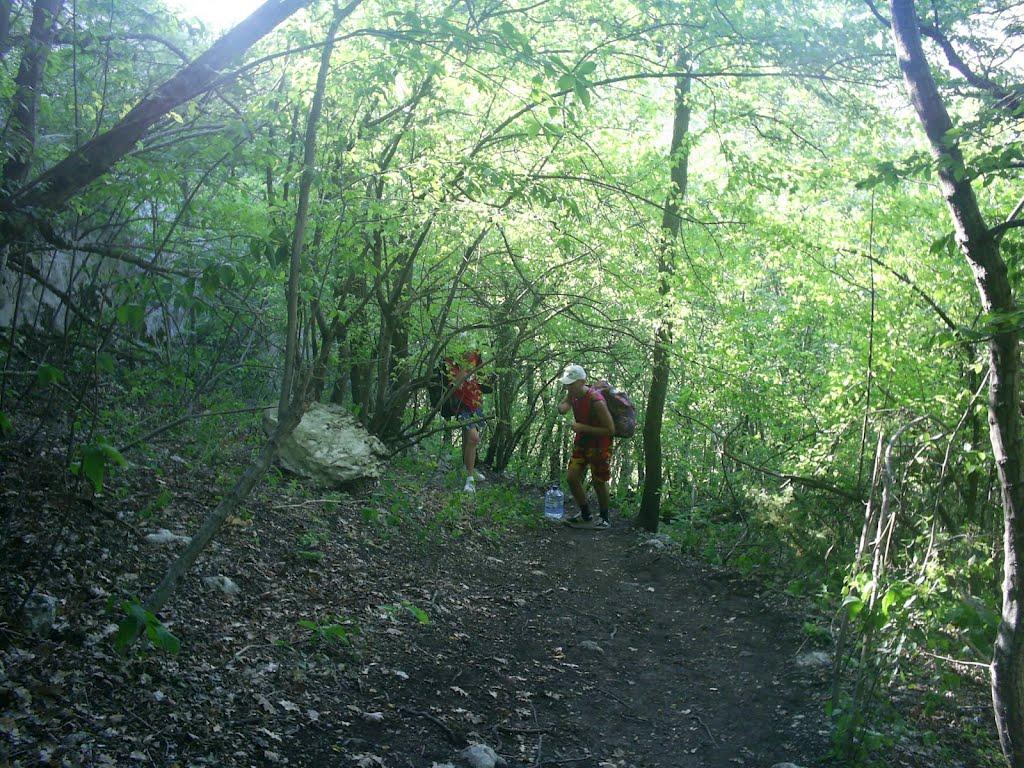 Передущельне з panoramio.com - Передущельне