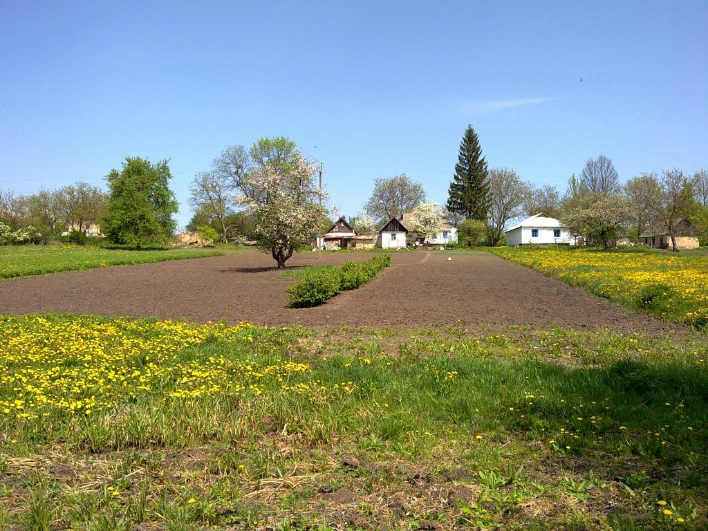 Рижанівка з panoramio.com - Рижанівка