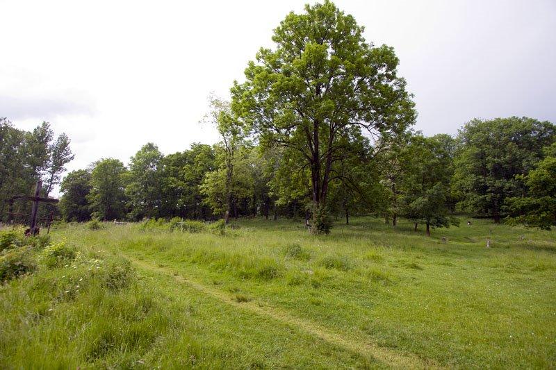 Долина з panoramio.com - Долина