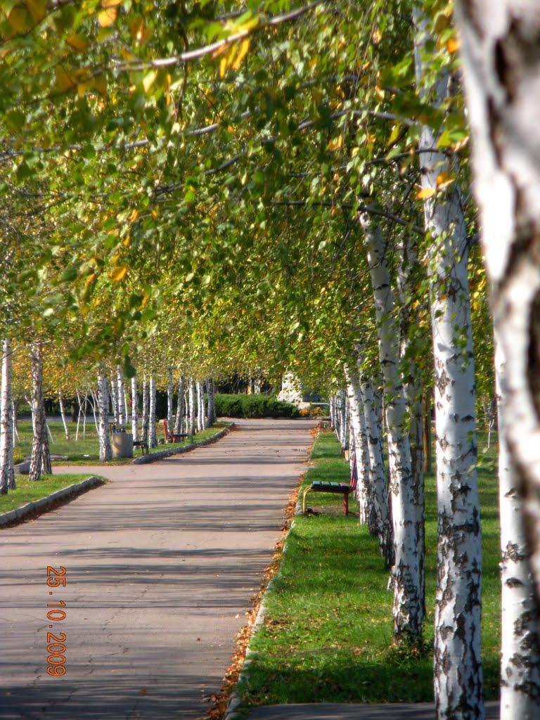 Комсомольське з panoramio.com - Комсомольське