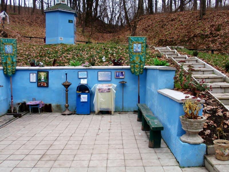 Ріжки з panoramio.com - Ріжки