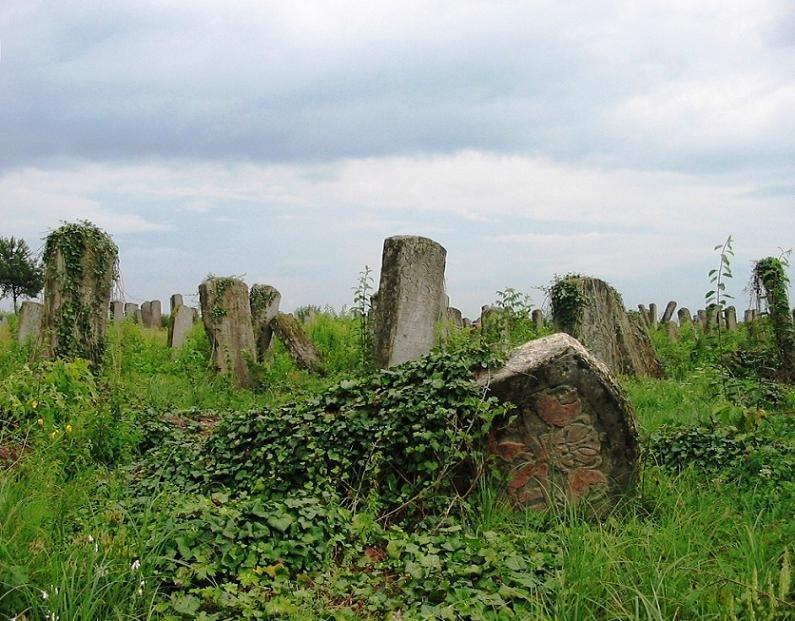 Броди з panoramio.com - Броды