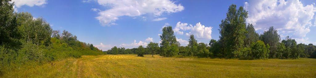 Приліпка з panoramio.com - Прилипка