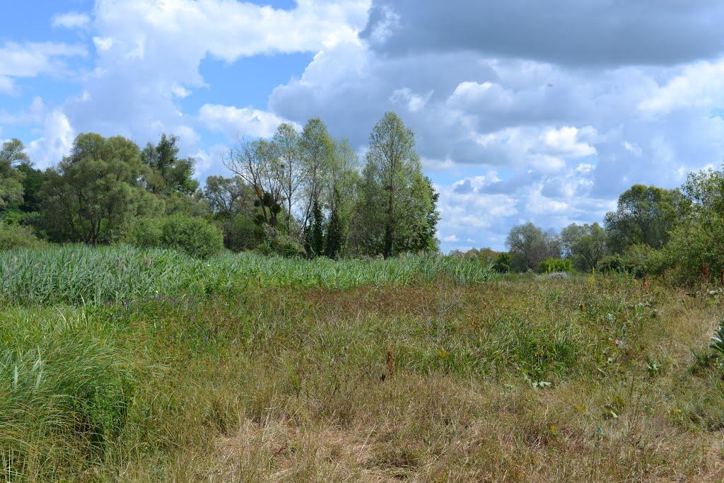 В'ятка з panoramio.com - Вятка