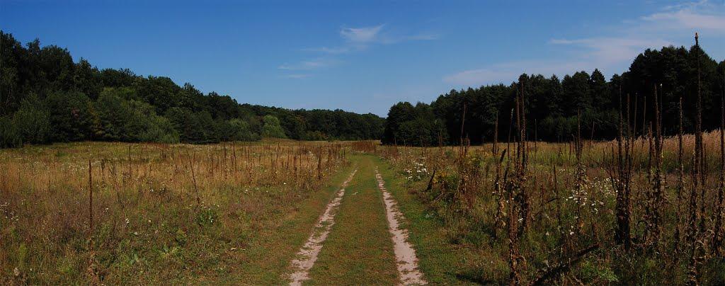 Велика Гомільша з panoramio.com - Велика Гомільша
