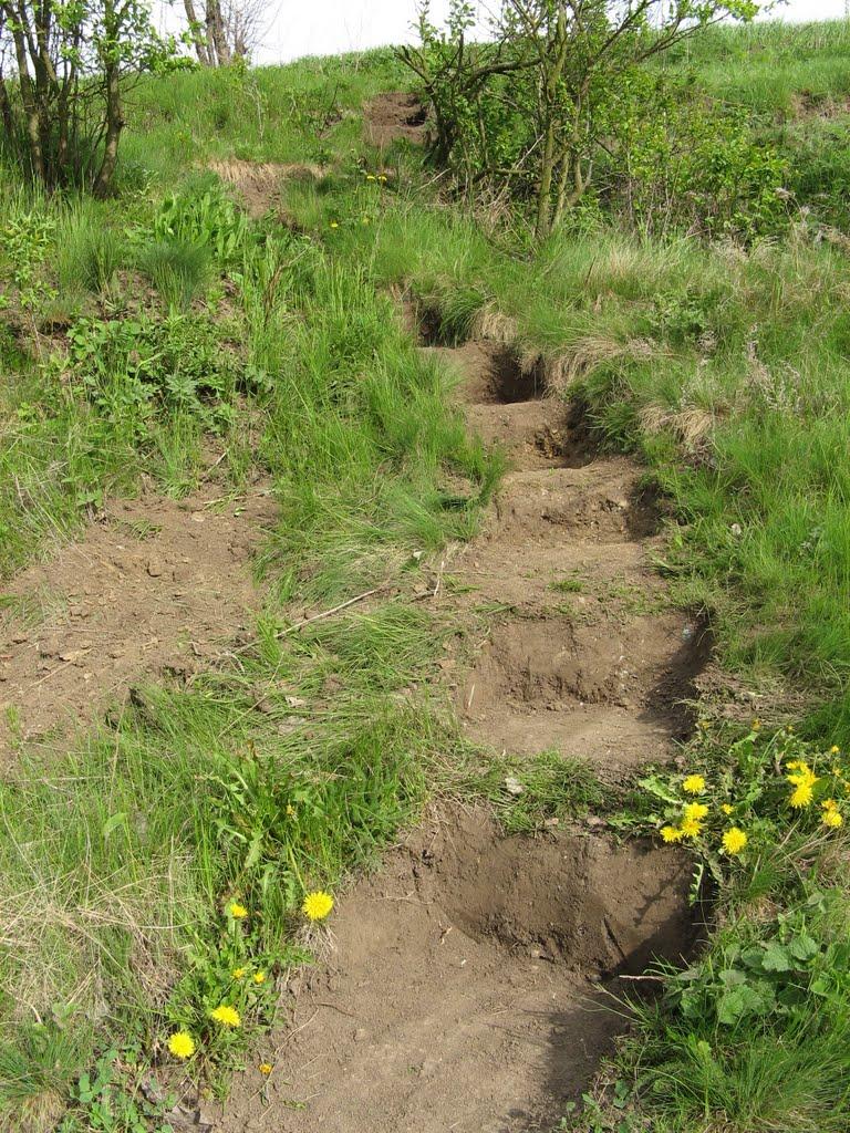 Свинарка з panoramio.com - Свинарка