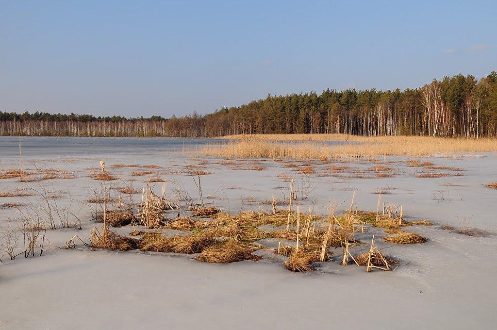 Забужжя з panoramio.com - Забужье