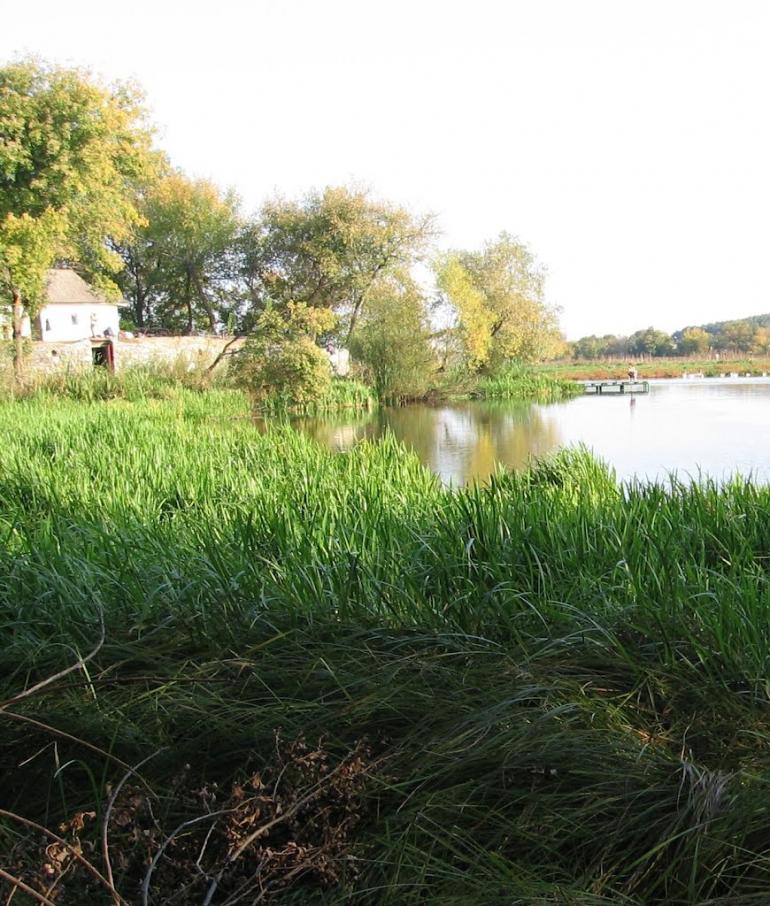 Могилівка з panoramio.com - Могилевка