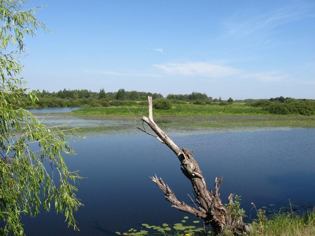 Очкине з panoramio.com - Очкине