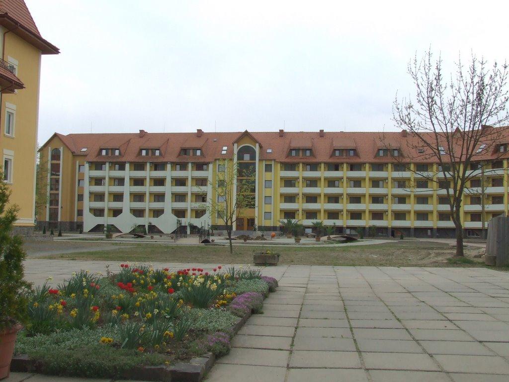 Свалява з panoramio.com - Svalyava