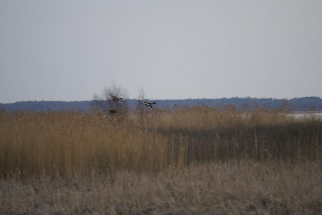 Тур з panoramio.com - Тур