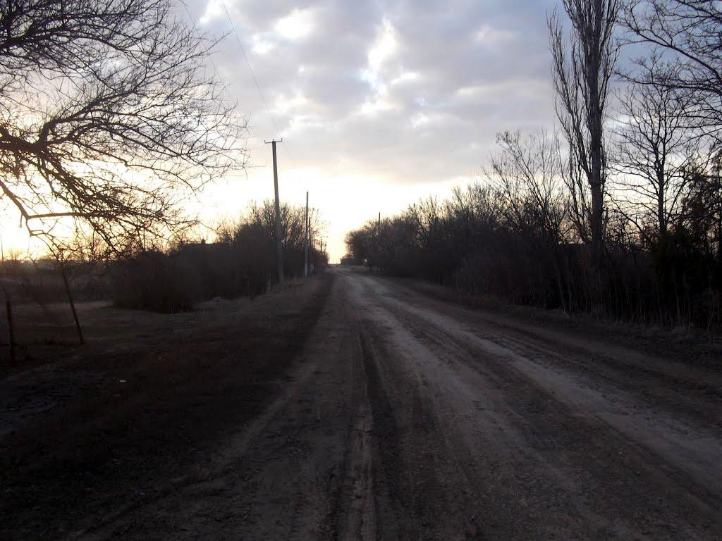 Нова Кам'янка з panoramio.com - Нова Кам'янка