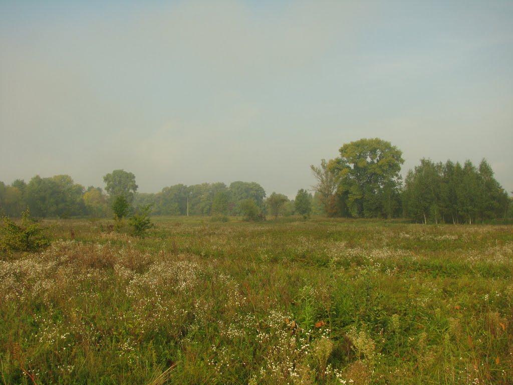 Осещина з panoramio.com - Осещина