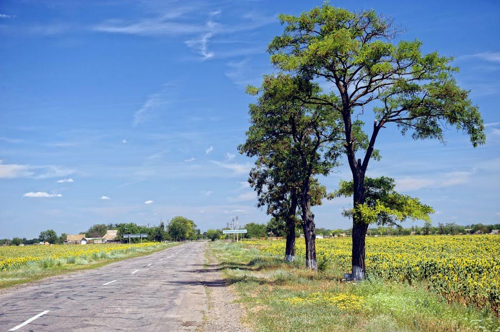 Новоолександрівка з panoramio.com - Новоолександрівка