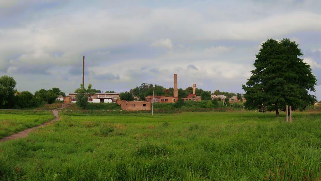 Олександрівка з panoramio.com - Александровка
