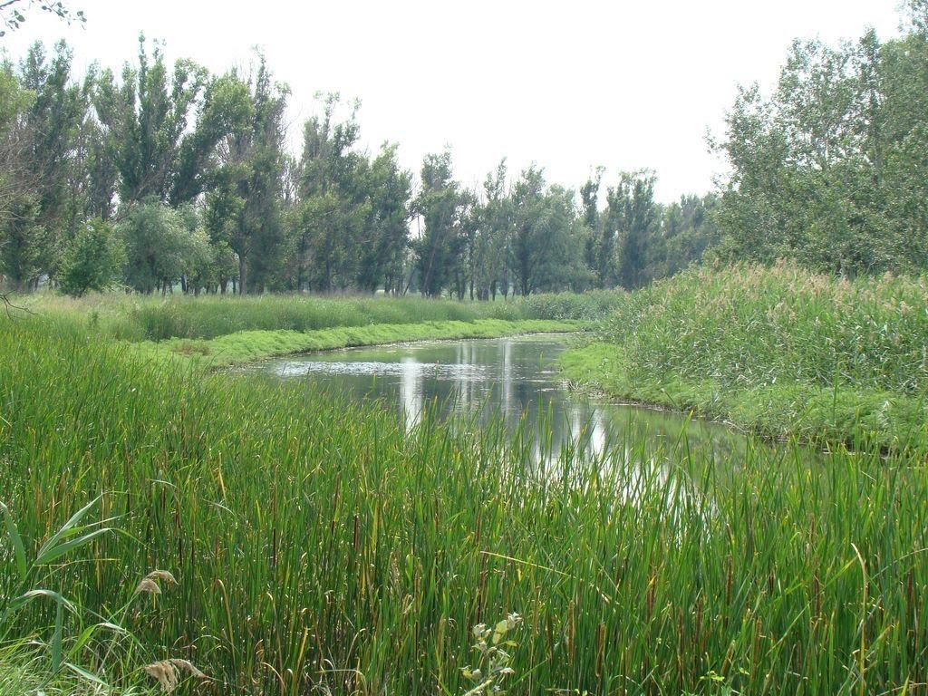 Привільне з panoramio.com - Привольное