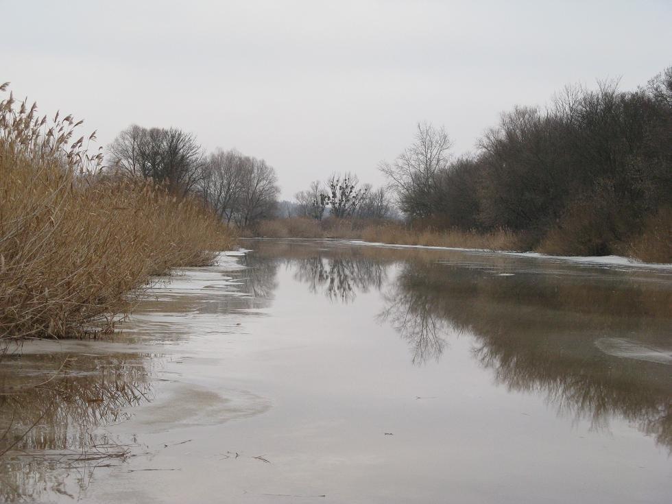 Івано-Михайлівка з panoramio.com - Івано-Михайлівка