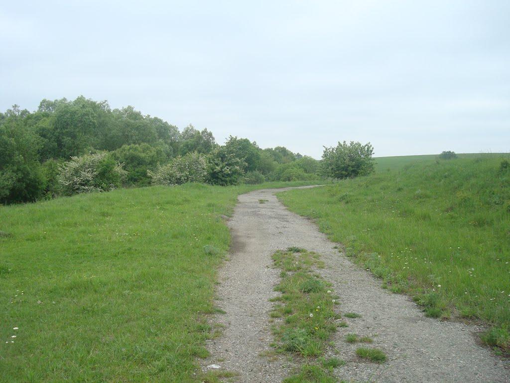 Мацьківці з panoramio.com - Matskivtsi