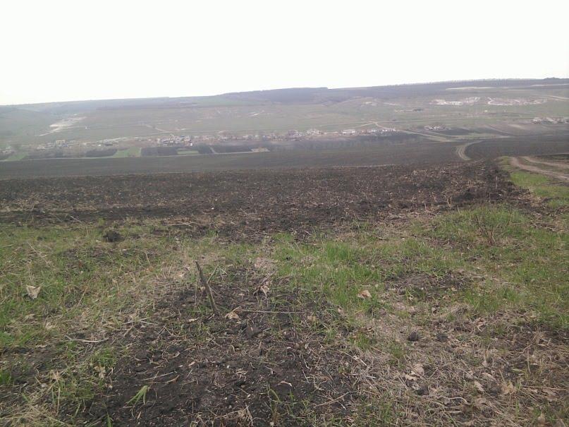 Березівка з panoramio.com - Березовка
