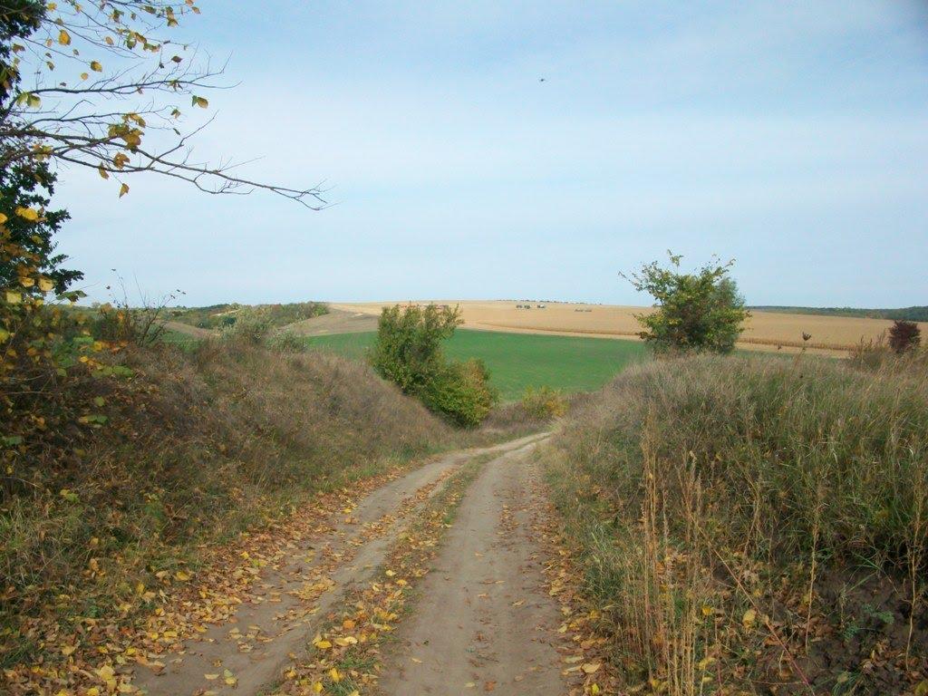 Кірове з panoramio.com - Кірове