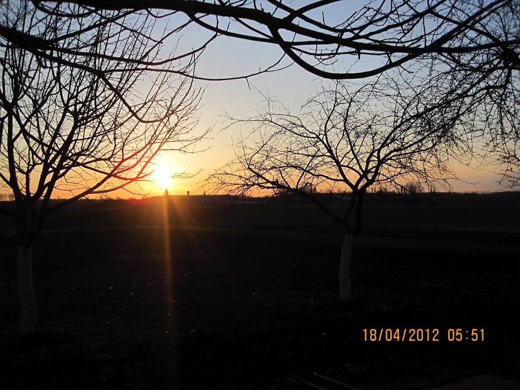 Григоровичі з panoramio.com - Григоровичі