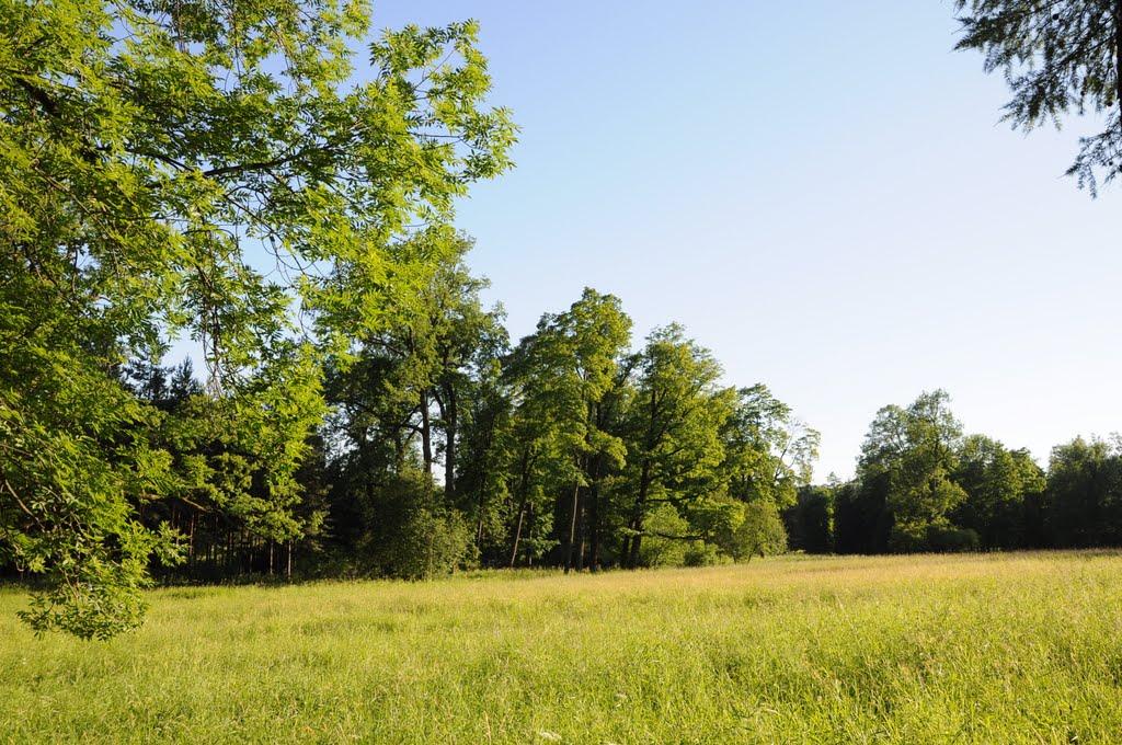 Дружківка з panoramio.com - Дружковка