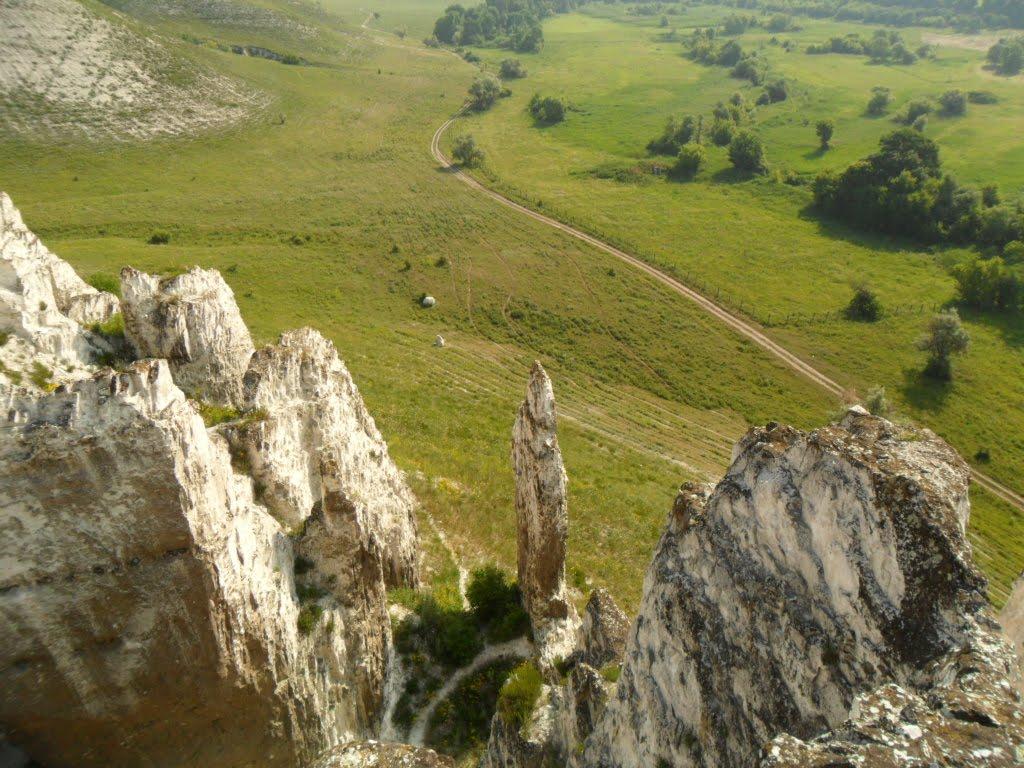 Білокузьминівка з panoramio.com - Білокузьминівка