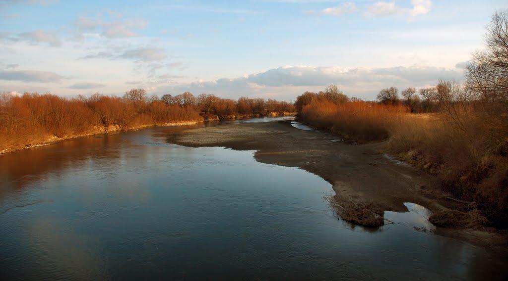 Заліски з panoramio.com - Zalisky