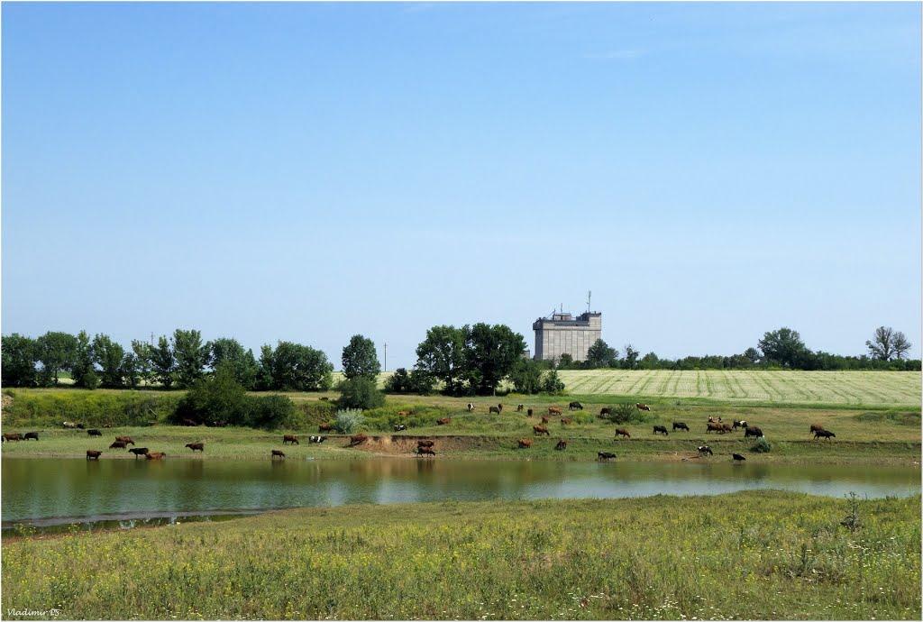 Софіївка з panoramio.com - Софіївка