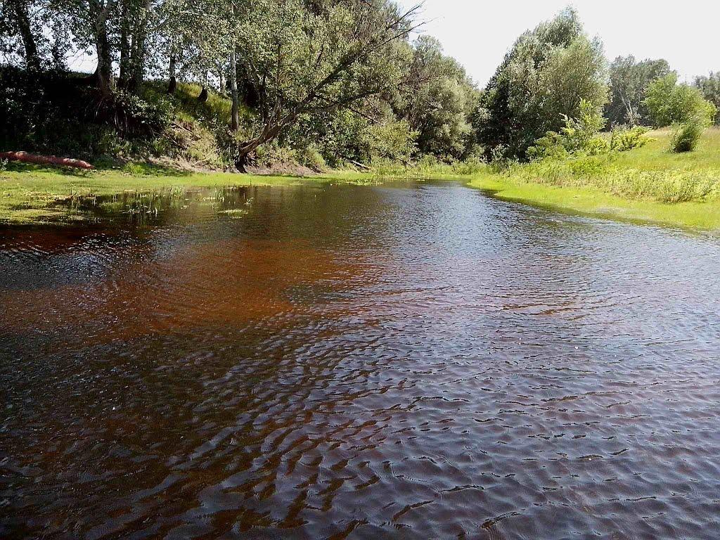 Говтва з panoramio.com - Говтва